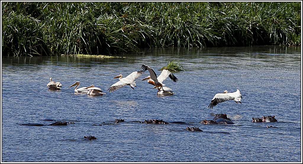 Szene in einem T mpel Afrika Serengeti